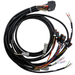 Autocrane Receiver Main Wiring Harness